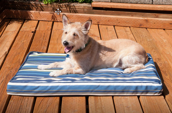 outdoor pet bed