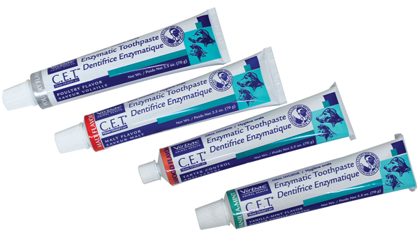 cet toothpaste back in stock