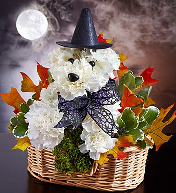 halloween-dog-flowers-witch