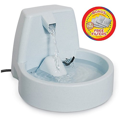Pet water fountain with filters