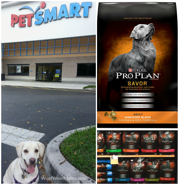 Pro Plan Daisy at PetSmart