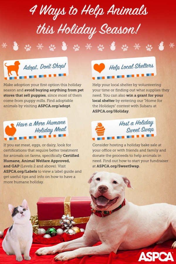 ASPCA holiday info