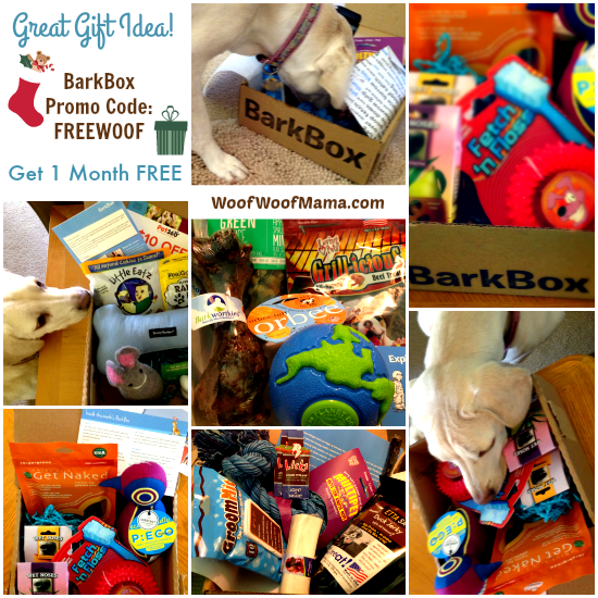 Promo Code for FREE Month of BarkBox
