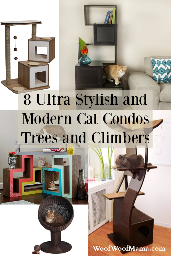 Stylish Modern Cat Furniture List