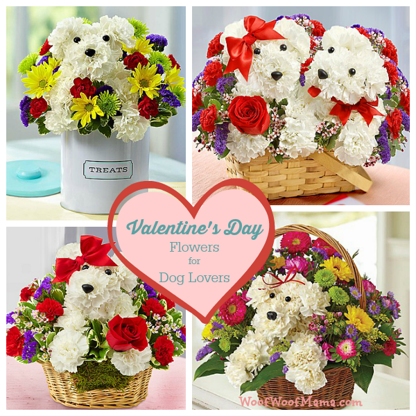 Valentines Day Flowers for Dog Lovers