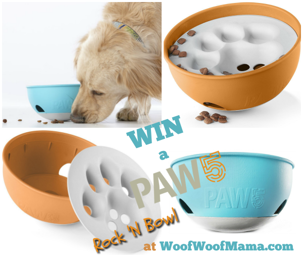 Win a PAW5 bowl for your dog