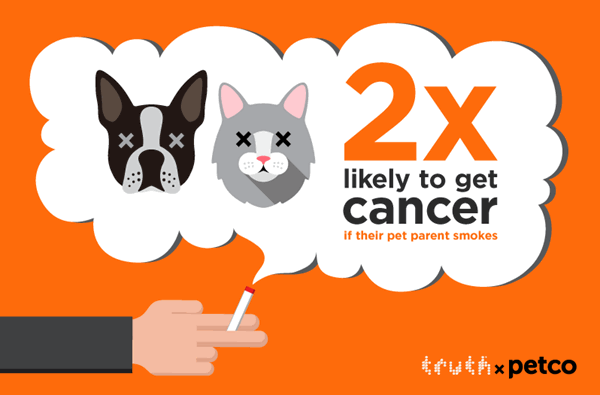 second hand smoke and pets