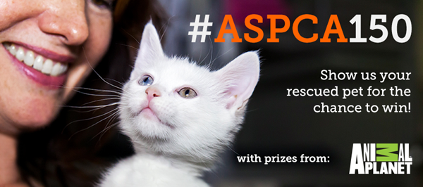ASPCA photo contest
