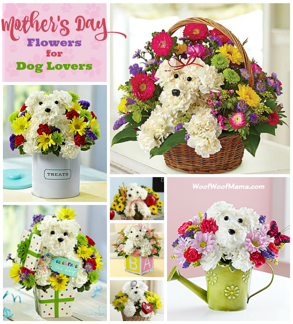 Mothers Day Flowers for Dog Lovers