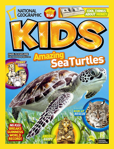 Sea Turtles for kids