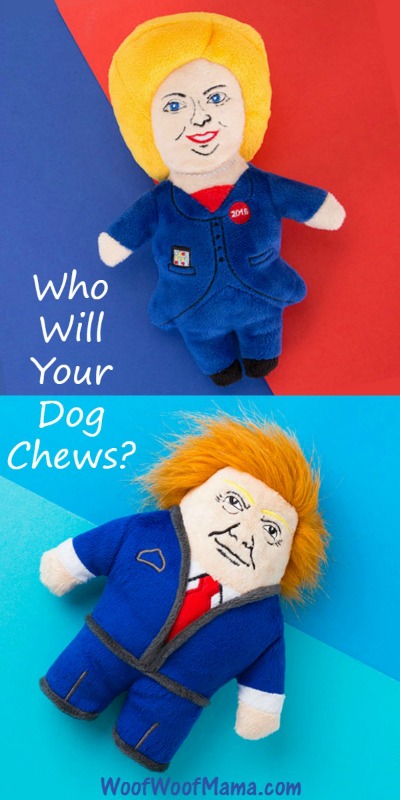 Dog Choose President