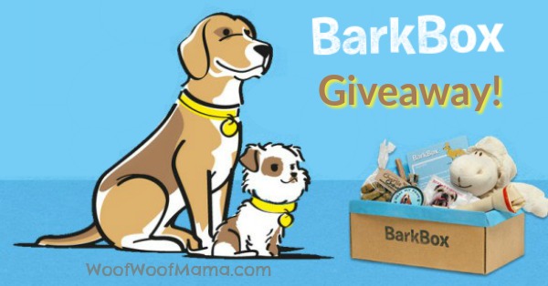 BarkBox Giveaway Summer