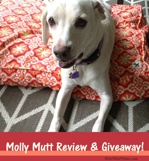 Dog Bed Review Molly Mutt