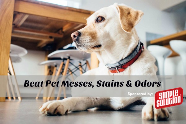 Simple Solution Pet Stain Odor Remover