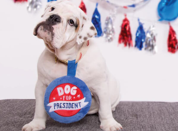 Dog for President Button