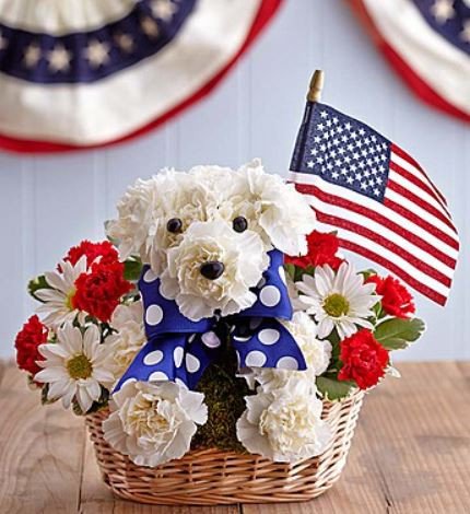 patriotic-dog-flowers