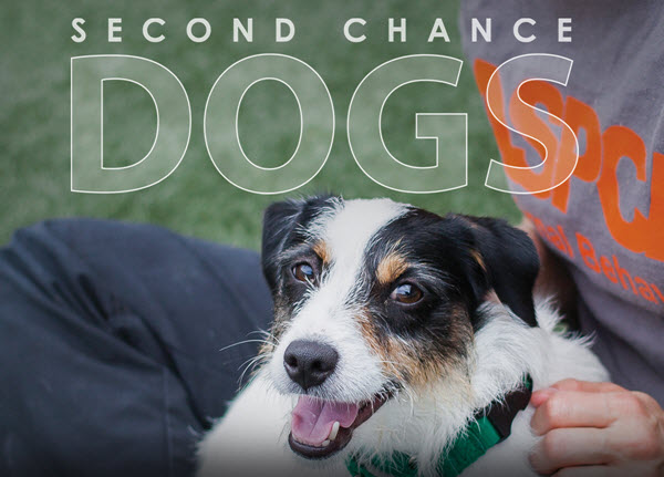 second-chance-dogs