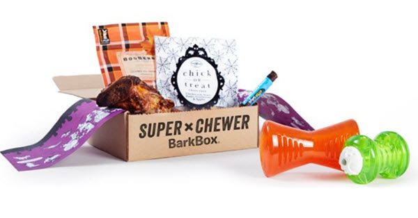 super-chewer-box-for-dogs