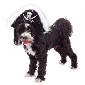 pirate costume