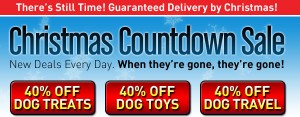 40% off Dog Toys and more at BaxterBoo