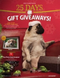 FIDO Friendly 25 Days of Gift Giving Pet Giveaway