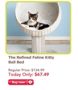 cat and dog beds on sale