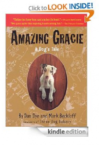 Amazing Gracie Kindle Edition on Sale!