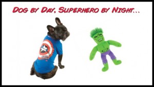 Win a Marvel Comics Superhero Dog Tee and Toy!