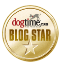 dogtime-blog-star