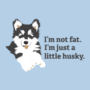 I'm not fat. I'm just a little husky. tshirt