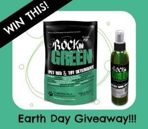 Rockin' Green Earth Day Prize Pack!