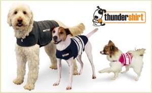 Thundershirt on sale at DoggyLoot