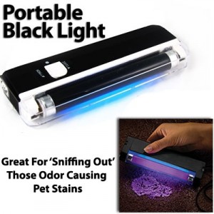 black light for finding pet stains