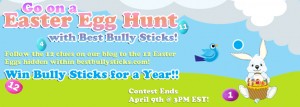 win free bully sticks for a year