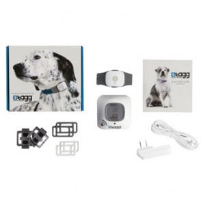 Tagg Pet Tracker on sale at Target