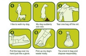 Coupaw Deal for Green N Pack Dog Poop Bags