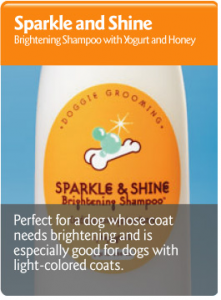 Sparkle and Shine Shampoo