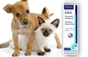 CET Toothpaste for Dogs and Cats
