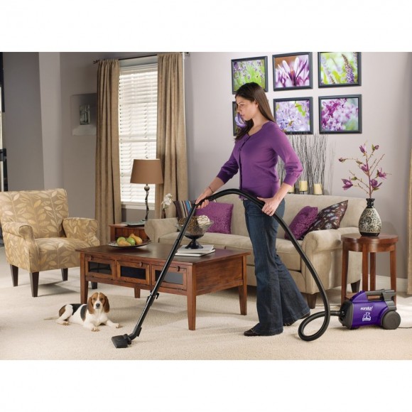 Eureka Pet Lover Mighty Mite Vacuum 42 Off + FREE Shipping! Woof