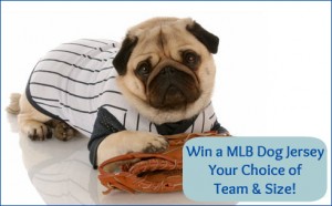 Win a MLB Dog Jersey