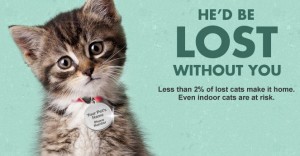 pet id tag, free from arm & hammer, help find lost pets, for cats and dogs