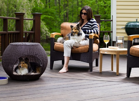 Off Refined Canine Deluxe Dog Furniture, Outdoor Dog Furniture