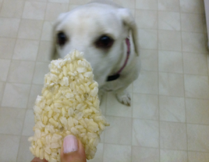 Daisy rice treat