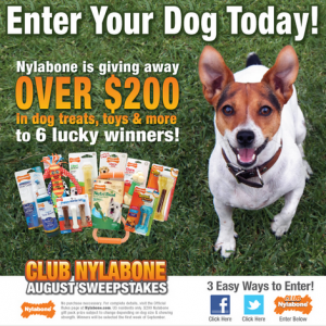 Nylabone dog toys, dog treats, nylabone giveaway, cute dog with nylabones