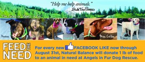Natural Balance, Facebook likes, donate food to dogs in need, angels in fur rescue