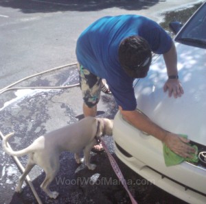Daisy car wash inspector