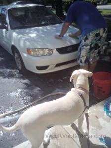 Daisy car wash supervisor