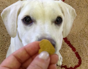 heart shaped dog cookies from newman's own organics