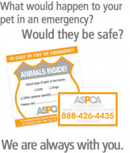 free pet safety sticker and magnet pack from ASPCA