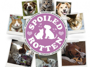 spoiled rotten giveaway